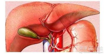膽囊息肉切除后注意事項