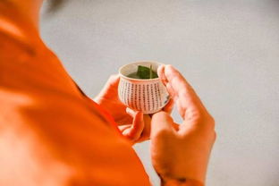 密宗供水注意事項(xiàng)