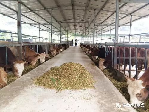 陽光棚注意事項(xiàng),彩鋼棚注意事項(xiàng),管棚施工注意事項(xiàng)