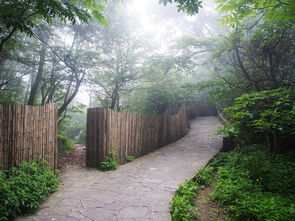 游覽云南榆園注意事項