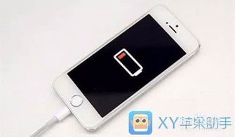 注意事項,充電,蘋果