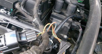 泄漏,汽油,注意事項