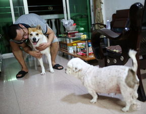 安葬的流程及注意事項,骨灰盒安葬注意事項,火化安葬注意事項