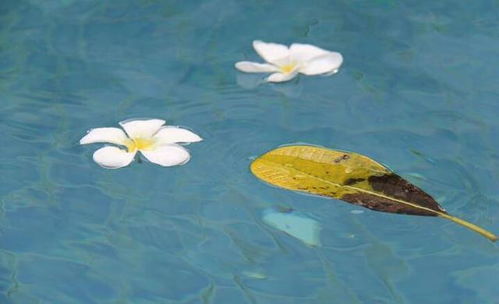 晚上聽大悲咒的注意事項(xiàng),讀大悲咒的注意事項(xiàng),播放大悲咒的注意事項(xiàng)