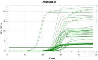 pcr的注意事項(xiàng),pcr操作流程及注意事項(xiàng),pcr擴(kuò)增的注意事項(xiàng)
