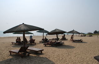 哈爾濱冬季旅游注意事項(xiàng),來哈爾濱旅游的注意事項(xiàng),去哈爾濱旅游的注意事項(xiàng)