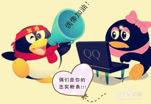 看表,注意事項(xiàng)