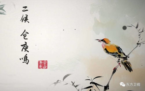 驚蟄,小人,注意事項(xiàng)