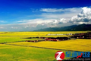 7月去青海湖注意事項