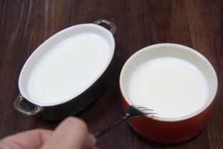 注意事項,雙皮奶