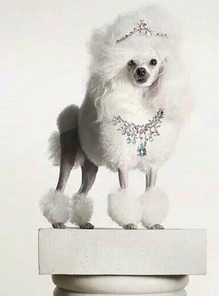 坐月子注意事項(xiàng),坐月子期間注意事項(xiàng),月子注意事項(xiàng)和護(hù)理