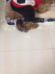 注意事項(xiàng),寶寶