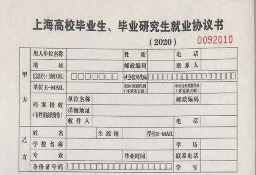 就業(yè)系統(tǒng)填寫注意事項