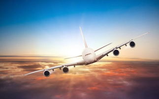 老舊,注意事項,飛機,維護