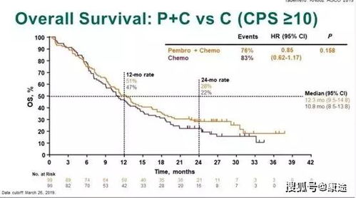 注意事項(xiàng),pd1