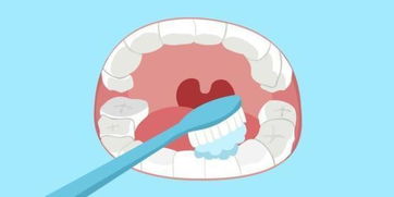 牙齒,注意事項(xiàng),金屬,矯正器