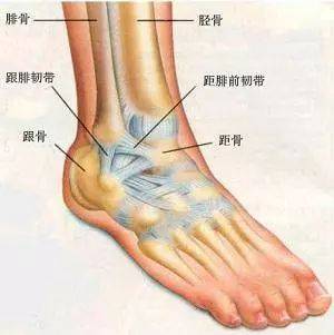 腰扭傷飲食注意事項,腰扭傷急性期注意事項,腰肌扭傷注意事項