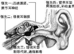神經(jīng)性耳鳴注意事項,耳鳴注意事項和飲食,神經(jīng)性耳鳴飲食注意事項