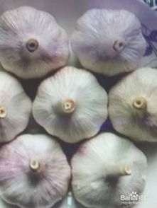 腎癌切除后飲食注意事項(xiàng)