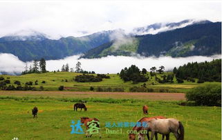 拉薩,注意事項,旅游