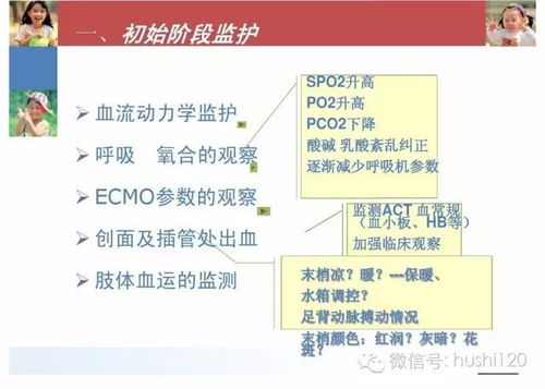ecmo重要護理注意事項
