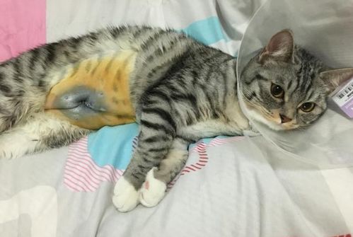 節(jié)育,注意事項(xiàng)