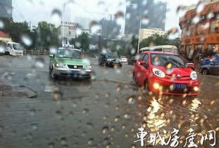 防洪,暴雨,注意事項(xiàng)