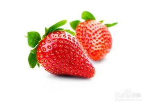草莓,注意事項(xiàng)