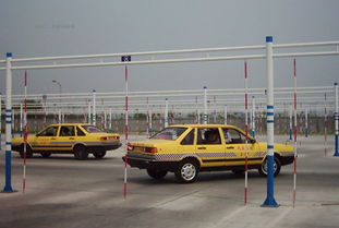 駕校,注意事項(xiàng),理論,培訓(xùn)