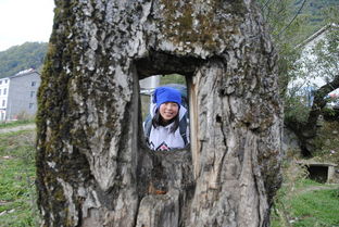 神農(nóng)架,徒步,注意事項