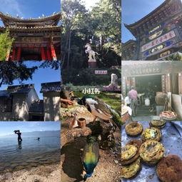 大理旅游防騙注意事項