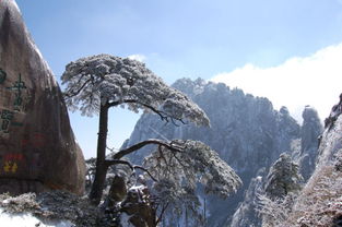 去黃山旅游的注意事項(xiàng),福州去黃山旅游注意事項(xiàng),11月份去黃山旅游注意事項(xiàng)