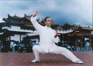 太極拳的注意事項(xiàng),練太極拳的注意事項(xiàng),打太極拳注意事項(xiàng)