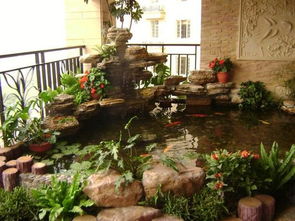 花園養(yǎng)魚注意事項(xiàng)