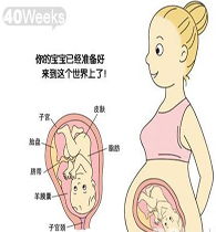 40天孕婦注意事項(xiàng)