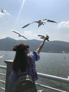 去北海道跟團(tuán)旅游注意事項