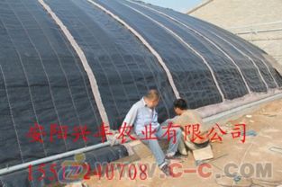 建蔬菜大棚結(jié)構(gòu)注意事項(xiàng)