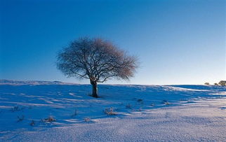 內(nèi)蒙冬季攝影注意事項(xiàng)