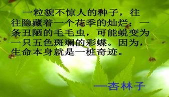 課間,注意事項(xiàng),活動(dòng),ppt