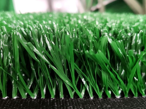 種草皮注意事項