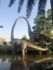 常州,恐龍,注意事項