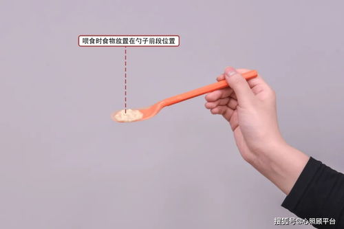 給老年人喂飯的注意事項(xiàng),臥床老年人喂飯的注意事項(xiàng),喂飯的注意事項(xiàng)