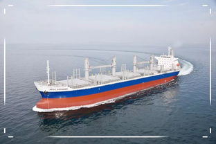 船廠接新船注意事項(xiàng),三副接新船注意事項(xiàng),接新船時(shí)船長(zhǎng)注意事項(xiàng)