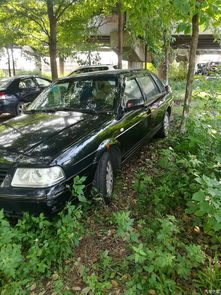 polo跑長(zhǎng)途的注意事項(xiàng)