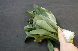 種青菜注意事項,種小青菜的注意事項,種植青菜的注意事項