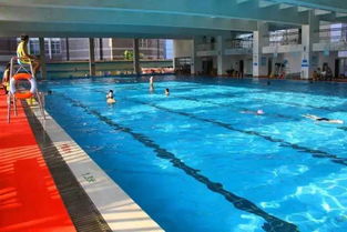 泳池,注意事項,游戲