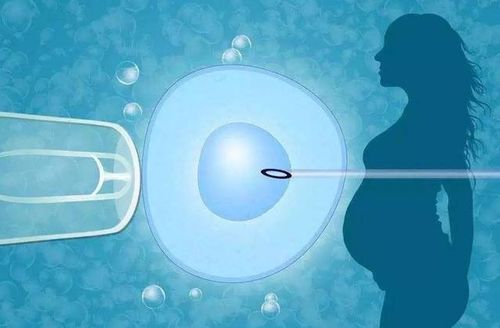 夏天做試管注意事項(xiàng)