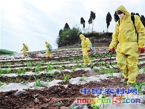 農(nóng)藥,儲存,注意事項