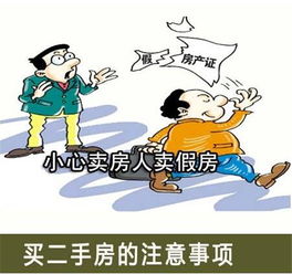 購(gòu)二手房流程和注意事項(xiàng),購(gòu)賣二手房注意事項(xiàng),購(gòu)二手房交房注意事項(xiàng)