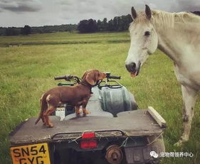 跑全馬注意事項(xiàng)